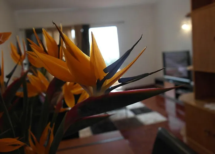 Inmaculado * Funchal (Madeira)