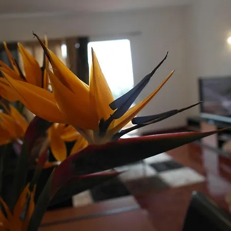 Inmaculado * Funchal (Madeira)